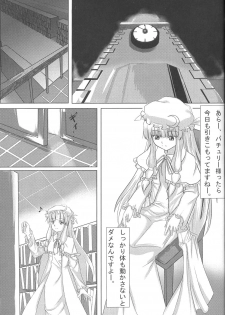 (C75) [Avion Village F (Fechi)] Higashifure IN CASE OF PATCHOULI KNOWLEDGE (Touhou Project) - page 20