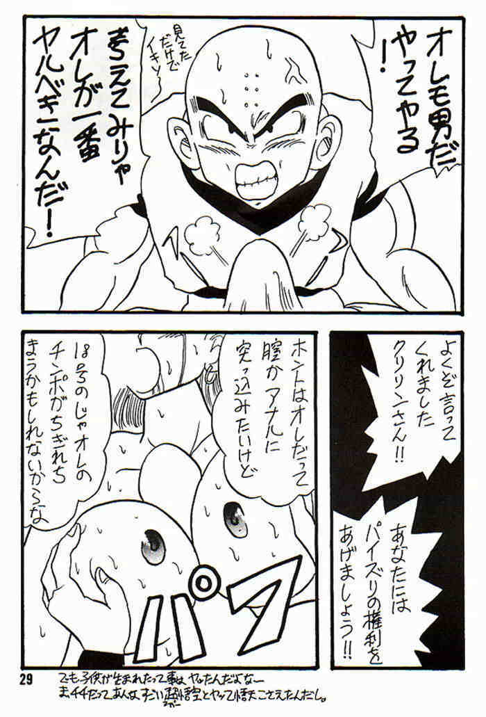 (CR14) [Ayashii Yatsura (Ayashi Ayashibe)] Play Dragon 3 (Dragon Ball Z) page 29 full