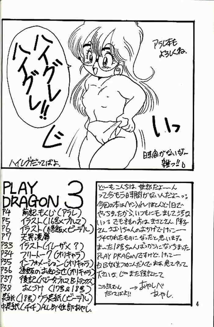 (CR14) [Ayashii Yatsura (Ayashi Ayashibe)] Play Dragon 3 (Dragon Ball Z) page 3 full