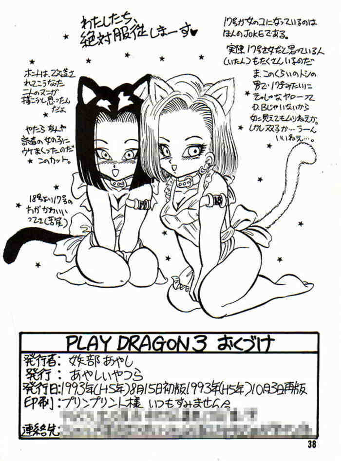 (CR14) [Ayashii Yatsura (Ayashi Ayashibe)] Play Dragon 3 (Dragon Ball Z) page 39 full