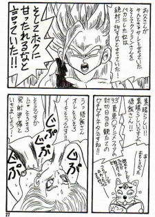 (CR14) [Ayashii Yatsura (Ayashi Ayashibe)] Play Dragon 3 (Dragon Ball Z) - page 27