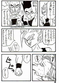 (CR14) [Ayashii Yatsura (Ayashi Ayashibe)] Play Dragon 3 (Dragon Ball Z) - page 28