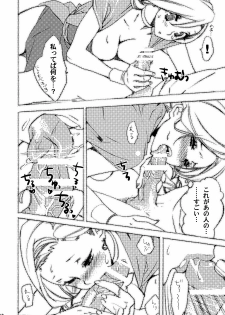 (C74) [Yakiniku Teikoku (Megumi)] HORMONE QUEST (Dragon Quest V) - page 10