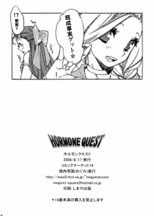 (C74) [Yakiniku Teikoku (Megumi)] HORMONE QUEST (Dragon Quest V) - page 18
