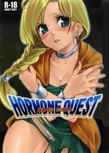(C74) [Yakiniku Teikoku (Megumi)] HORMONE QUEST (Dragon Quest V) - page 1