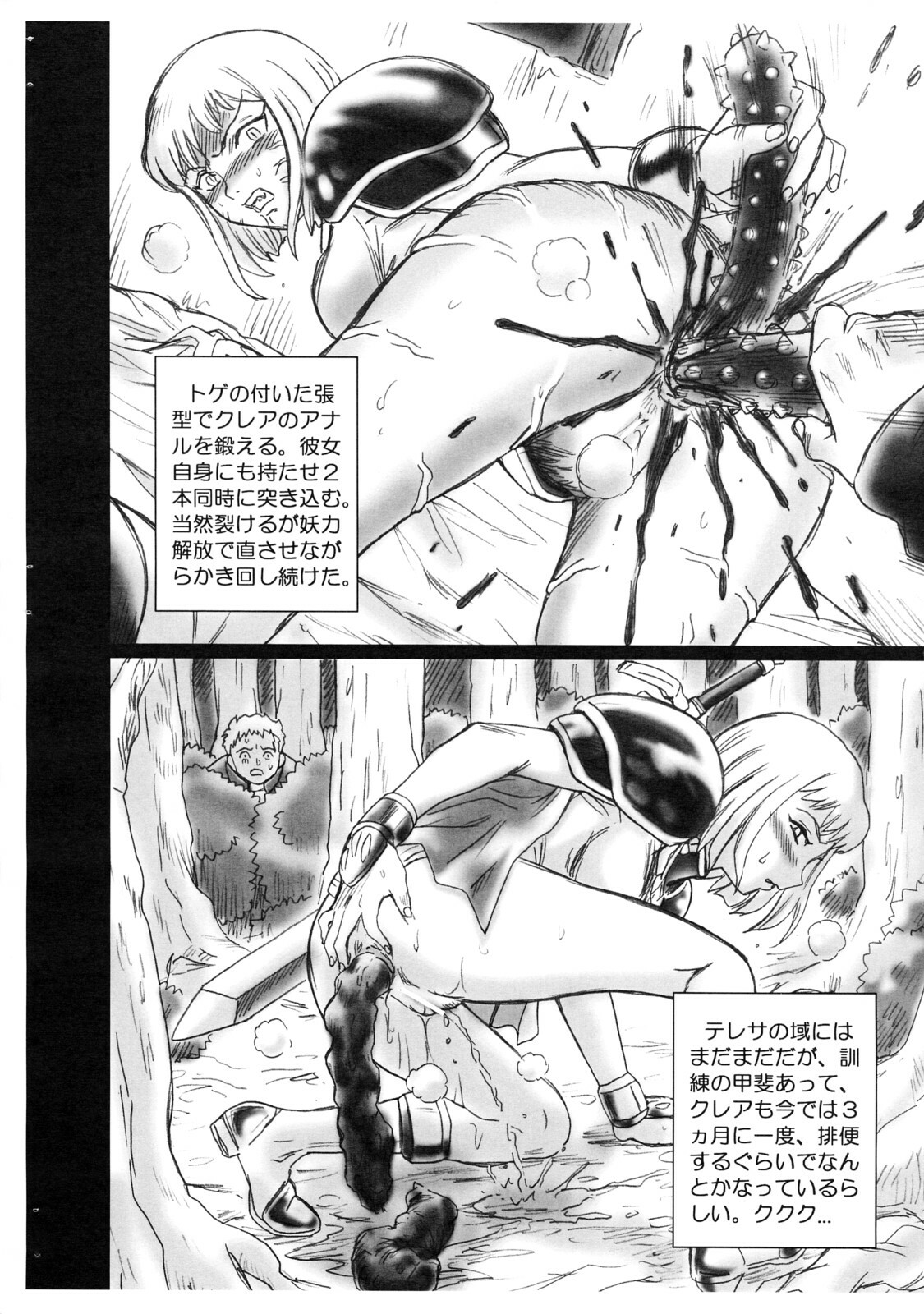 (C72) [Rat Tail (Irie Yamazaki)] CLAYMORE FILE (Claymore!) page 8 full