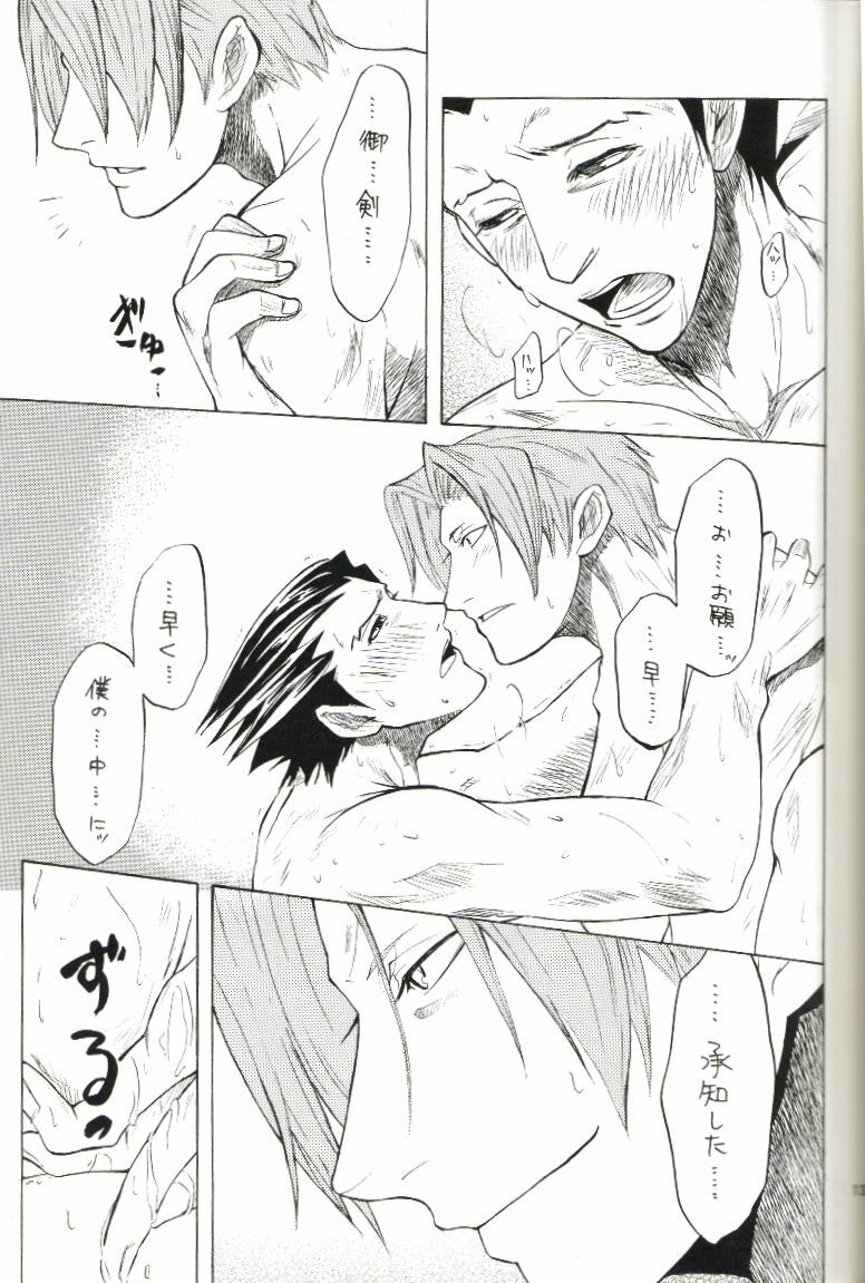 (C70) [Nine Tail (GINKO)] Kimi no Tame ni Sakaseru Hana (Ace Attorney) page 12 full
