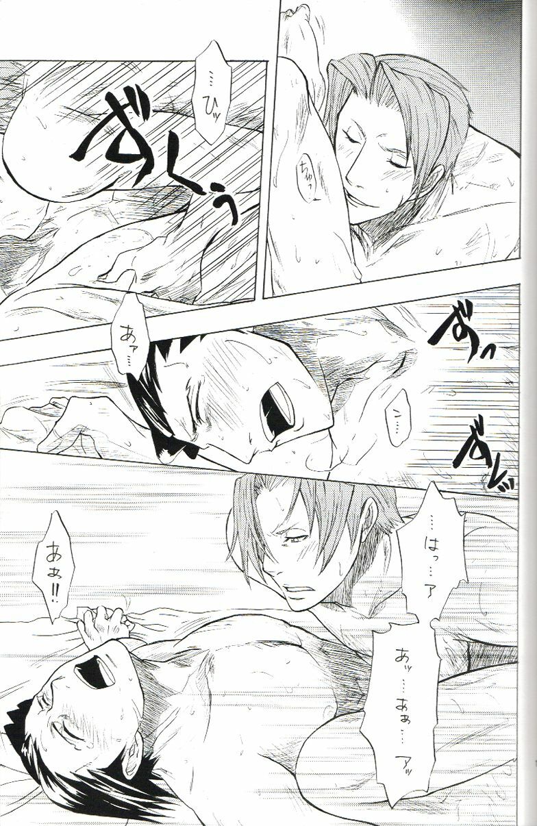 (C70) [Nine Tail (GINKO)] Kimi no Tame ni Sakaseru Hana (Ace Attorney) page 14 full