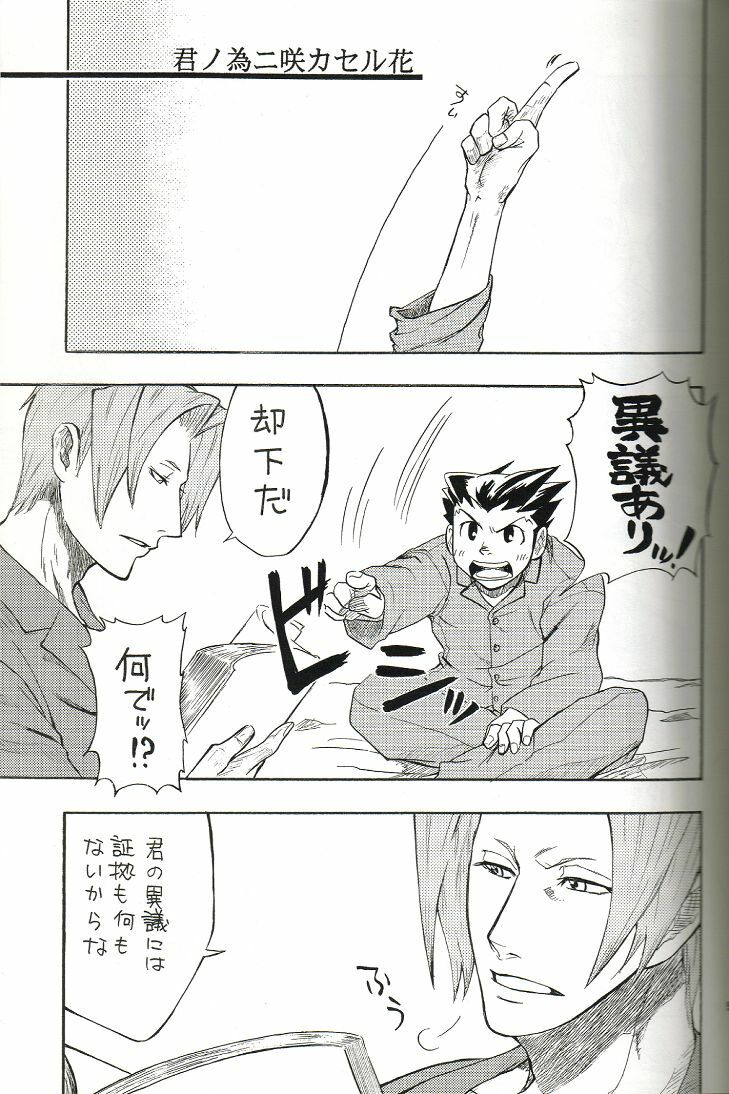 (C70) [Nine Tail (GINKO)] Kimi no Tame ni Sakaseru Hana (Ace Attorney) page 4 full