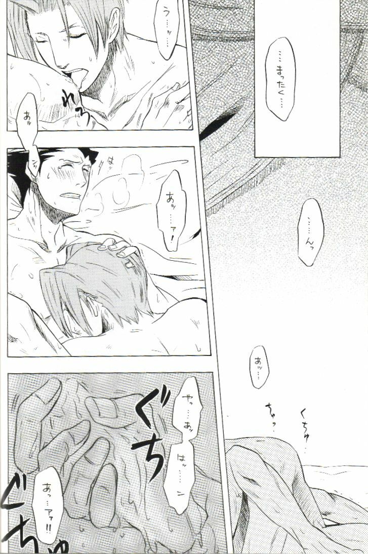 (C70) [Nine Tail (GINKO)] Kimi no Tame ni Sakaseru Hana (Ace Attorney) page 9 full