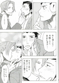 (C70) [Nine Tail (GINKO)] Kimi no Tame ni Sakaseru Hana (Ace Attorney) - page 18