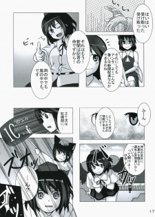 (C75) [Desuno!! (Fuyuwa Kotatsu)] ONE FINE DAY (Touhou Project) - page 17