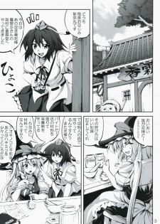 (C75) [Desuno!! (Fuyuwa Kotatsu)] ONE FINE DAY (Touhou Project) - page 3