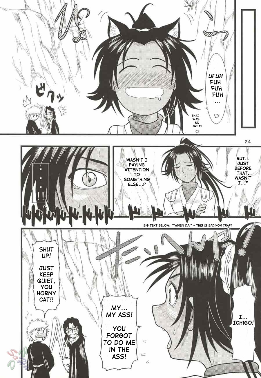 [Great Dadan (Seijirou Kagechika)] Yoruichi Nyan no Hon 2 (Bleach) [English] [SaHa] [2004-10-29] page 24 full