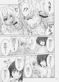 (C75) [SEITOKAISHITSU (Akimoto Dai)] Rokka wa Honjitsu mo Ijounashi (Mahou Shoujo Lyrical Nanoha) - page 11