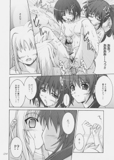 (C75) [SEITOKAISHITSU (Akimoto Dai)] Rokka wa Honjitsu mo Ijounashi (Mahou Shoujo Lyrical Nanoha) - page 22