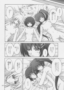 (C75) [SEITOKAISHITSU (Akimoto Dai)] Rokka wa Honjitsu mo Ijounashi (Mahou Shoujo Lyrical Nanoha) - page 28