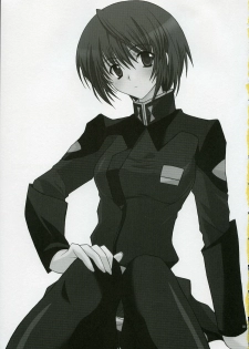 (SC28) [YLANG-YLANG (Ichie Ryouko)] RENDEZ-VOUS (Mobile Suit Gundam SEED DESTINY) - page 2