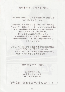 (C69) [Lyco-Z (Raikouji Aya)] Buntsuu! (Touhou Project) - page 18