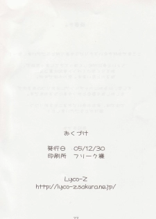 (C69) [Lyco-Z (Raikouji Aya)] Buntsuu! (Touhou Project) - page 23
