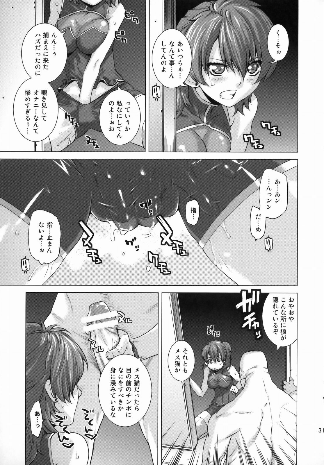 [Kouchaya (Ootsuka Kotora)] BLACK DIAMOND 2 (Gundam 00) page 30 full