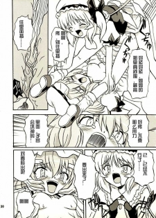 (Reitaisai 2) [Takakuya (Takaku Toshihiko)] Touhou Youjo Ranbu 2 (Touhou Project) [Chinese] - page 29