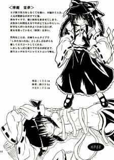 (Reitaisai 2) [Takakuya (Takaku Toshihiko)] Touhou Youjo Ranbu 2 (Touhou Project) [Chinese] - page 43