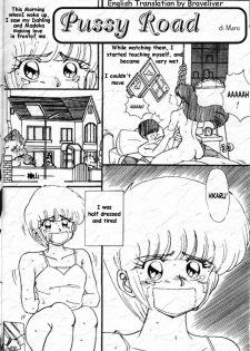 Pussy Road [English] [Rewrite] [Braveliver] - page 1