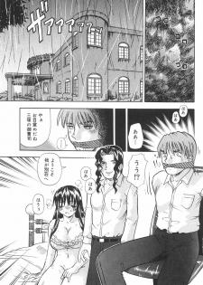 [Tomiaki Yuu] Seiyoku Maid - page 27