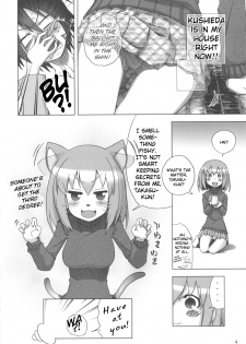 (C75) [Rikudou Juku (Hitotose Rin)] Tora Dango | Tiger Dumplings (Toradora!) [English] [DGB] - page 3