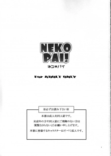 (C72) [AZA+ (Yoshimune)] NEKOPAI! (Final Fantasy XI) - page 2