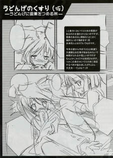 (CSP4) [Pixel Phantom (Kamiya Yuu)] Udonge no Shippo (Touhou Project) - page 13
