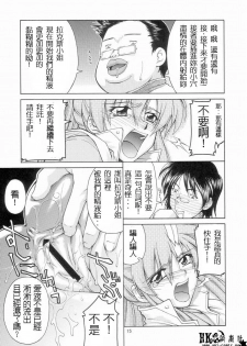(C65) [GOLD RUSH (Suzuki Address)] Emotion (Ura) (Gundam SEED) [Chinese] [HKG漫畫課] - page 14