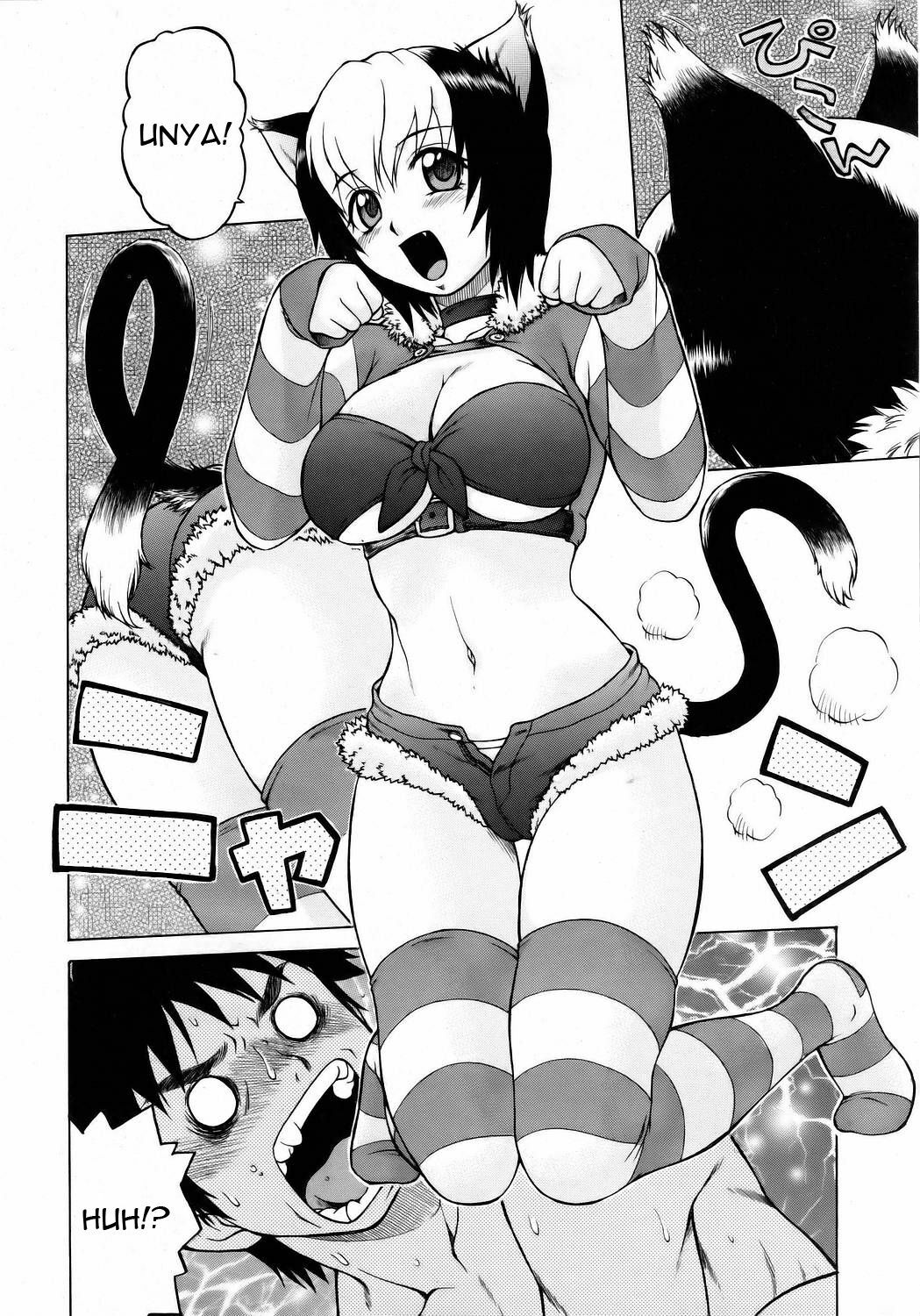 [Kouda Tomohiro] Miracle Neko Punch! | Miracle Cat Punch (COMIC AUN 2006-05) [English] [Dai] page 8 full