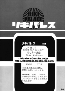 (C75) [Riki Palace (Riki Michiyama)] Sutoyon (Street Fighter) - page 29