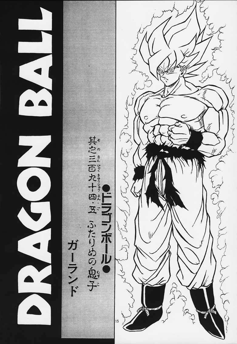 [Rehabilitation (Garland)] DRAGONBALL H Maki Ichi Ni Saihan (Dragon Ball Z) page 14 full