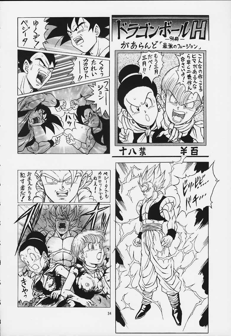 [Rehabilitation (Garland)] DRAGONBALL H Maki Ichi Ni Saihan (Dragon Ball Z) page 33 full