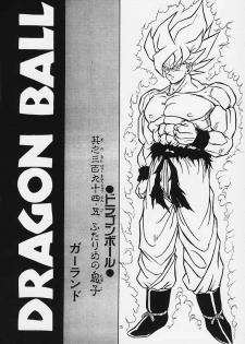 [Rehabilitation (Garland)] DRAGONBALL H Maki Ichi Ni Saihan (Dragon Ball Z) - page 14