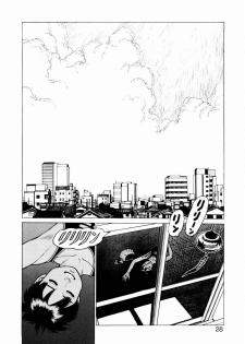 [Yamamoto Atsuji] Ammo Vol 2 - page 30