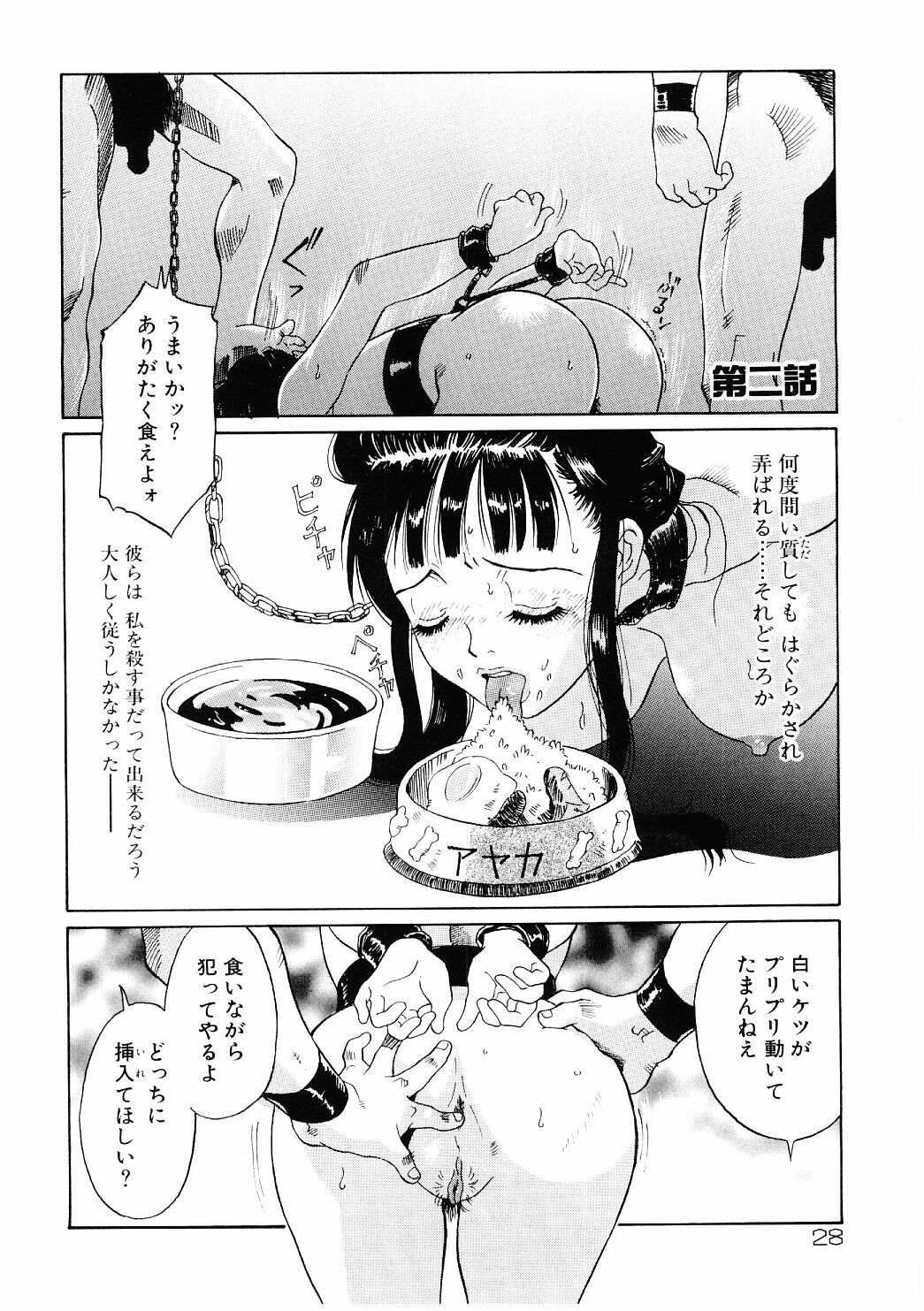 [Yamanobe Kitta] Bigyaku no Neiro page 29 full