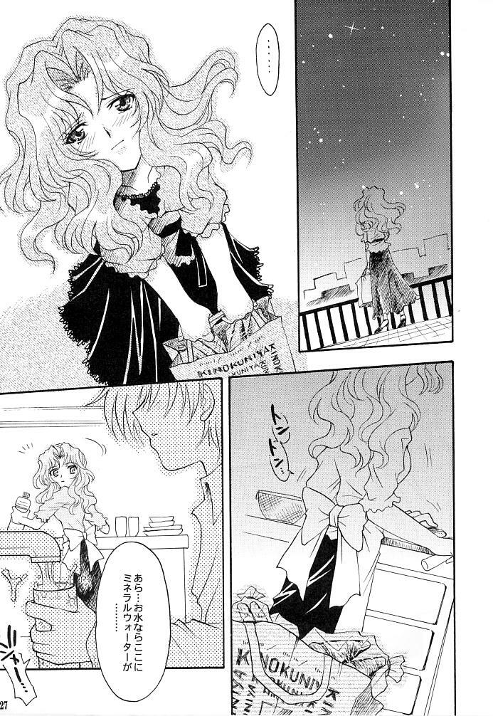 (C66) [Kotori Jimusho (Sakura Bunchou)] Kono inochi dare no mono (Sailor Moon) page 25 full
