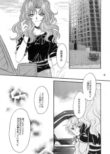 (C66) [Kotori Jimusho (Sakura Bunchou)] Kono inochi dare no mono (Sailor Moon) - page 12