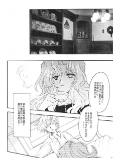 (C66) [Kotori Jimusho (Sakura Bunchou)] Kono inochi dare no mono (Sailor Moon) - page 14