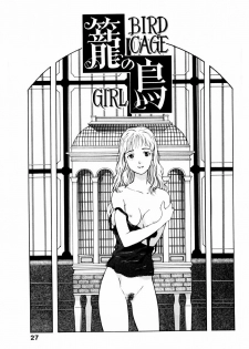 [Yamanobe Kitta] Boku no Alice Tachi | Alice My Lovers - page 28