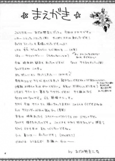 [Keiji in Cage (Azamino Keiji)] Eccentric Girls (Final Fantasy IX) - page 3