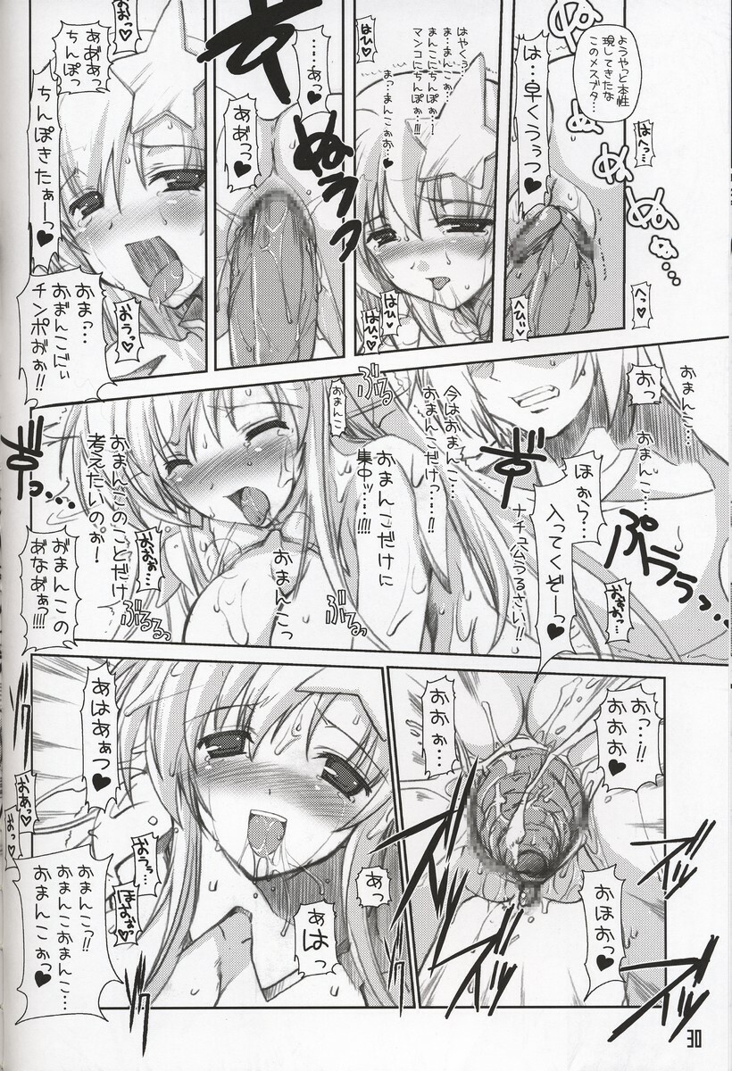 (C69) [HarthNir (Misakura Nankotsu)] Meer chan no Gyokuon Housou (Gundam Seed Destiny) page 29 full