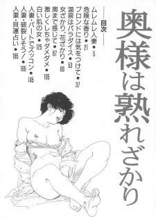 [Ken Tsukikage] Okusama wa Urezakari - page 8