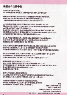 (Reitaisai 6) [Schwester (Inasaki Shirau)] Rollin 31 (Touhou Project) - page 17