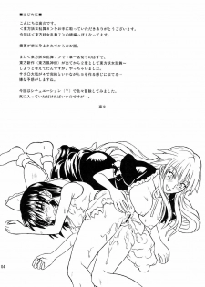 (Reitaisai 4) [Takakuya (Takaku Toshihiko)] Touhou Youjo Ranbu 8 | Touhou Enchantresses’ Dance 8 (Touhou Project) [English] - page 4