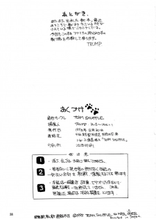 (C49) [Team Shuffle (Various)] Kemono no Sho Ni - Book of the Beasts 2 - page 38